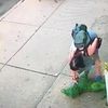 Video: Woman Steals Bakery's Topiary Dog, Apologizes For 'Harmless' Theft